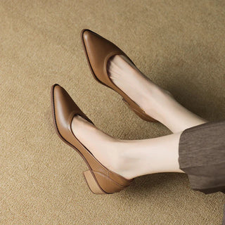 Pointed Toe Slip-On Heels in Brown — VerolynBoutique